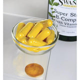 Swanson Super Stress B Complex With Vitamin C 100 Caps